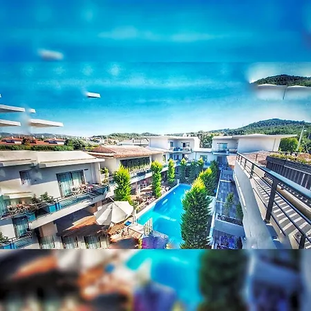The D Hotel 4*